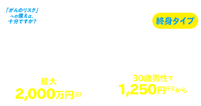 かんでん保険　がん保険プラン　終身タイプ