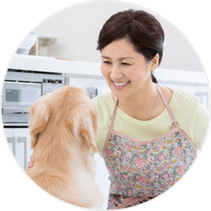 犬のお世話