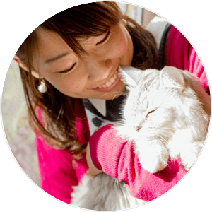 猫のお世話