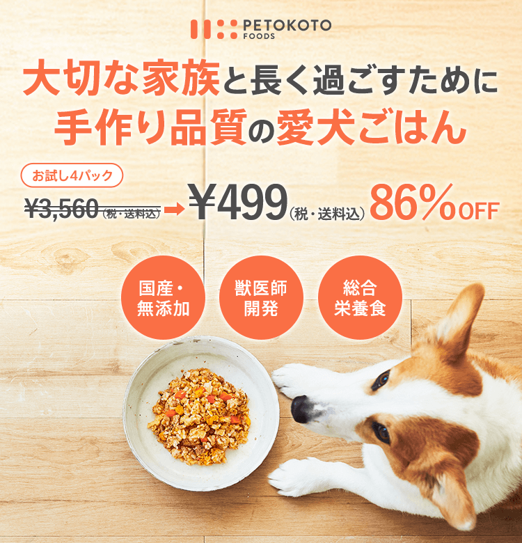 ペトコトフーズ 「圧倒的な食いつき」大切な家族と長く過ごすために 手作り品質の愛犬ごはん